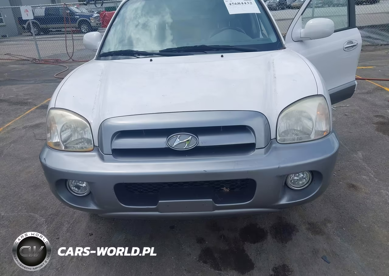 2006 Hyundai Santa Fe Gls-Limited VIN:KM8SC13E06U044994 - 6