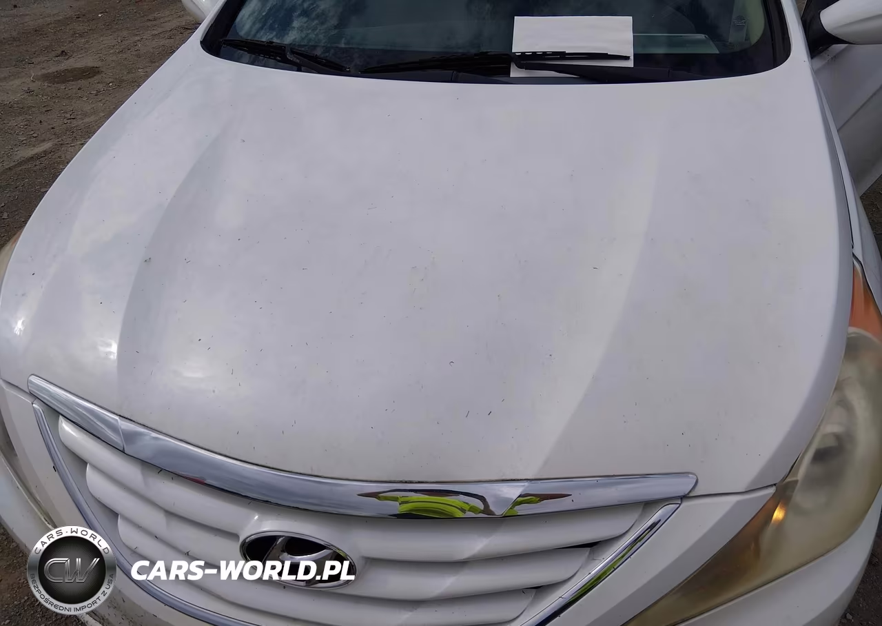 2013 Hyundai Sonata Gls VIN:5NPEB4AC1DH516960 - 6