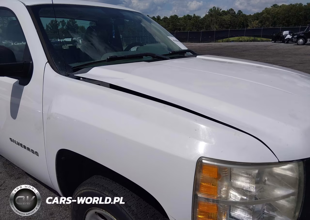 2011 Chevrolet Silverado 1500 Work Truck VIN:1GCNCPEX8BZ354004 - 12