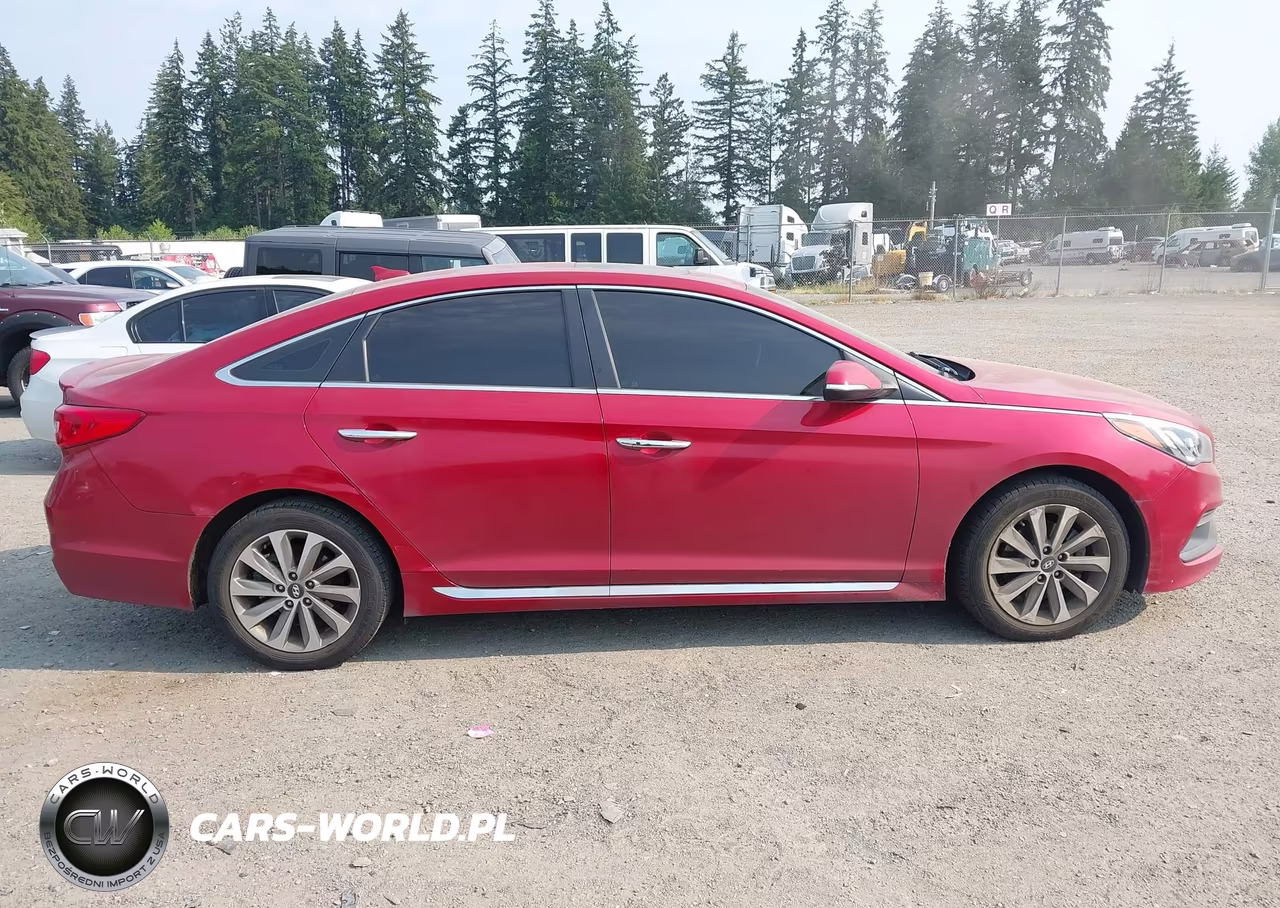 2017 Hyundai Sonata Sport VIN:5NPE34AFXHH444444 - 13