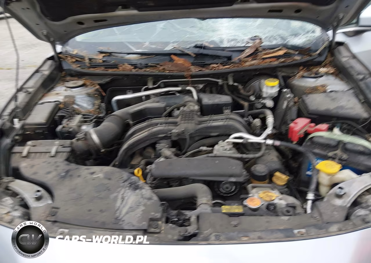2020 Subaru Outback Limited VIN:4S4BTANC9L3100797 - 10