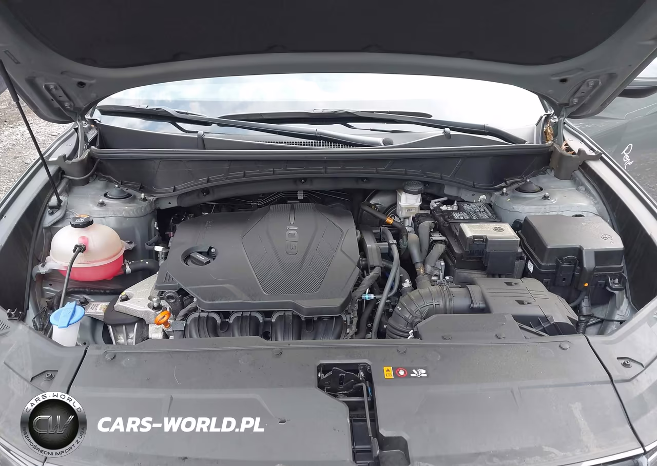 2024 Hyundai Tucson Sel VIN:5NMJFCDE3RH377588 - 10