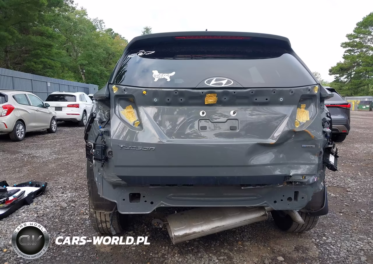 2024 Hyundai Tucson Sel VIN:5NMJFCDE3RH377588 - 6