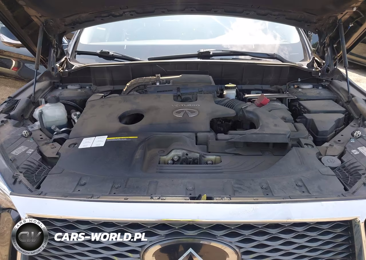 2019 Infiniti Qx50 VIN:3PCAJ5M32KF118736 - 10