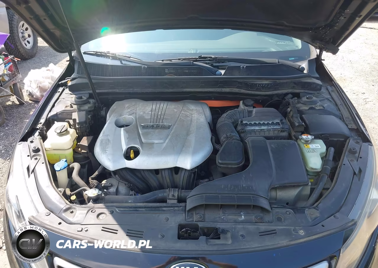 2012 Kia Optima Hybrid Ex VIN:KNAGM4AD9C5030601 - 10