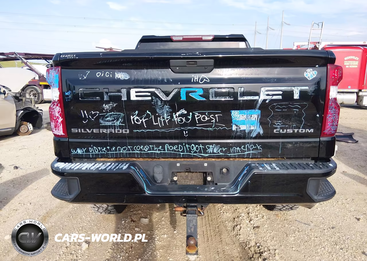 2019 Chevrolet Silverado 1500 Custom Trail Boss VIN:1GCRYCEH5KZ210026 - 16