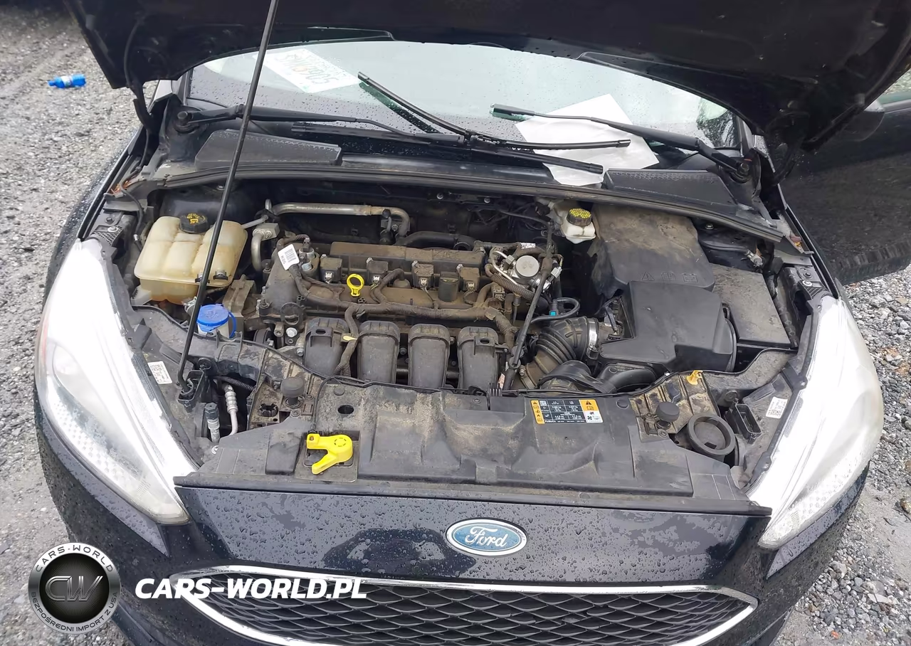 2018 Ford Focus Se VIN:1FADP3K23JL212572 - 10
