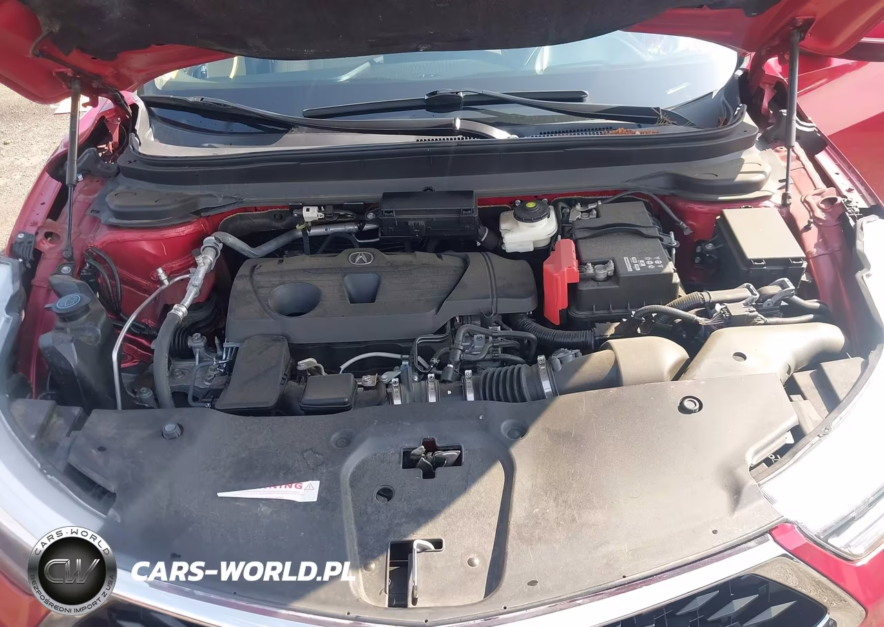 2019 Acura Rdx Advance Package VIN:5J8TC2H71KL022402 - 10
