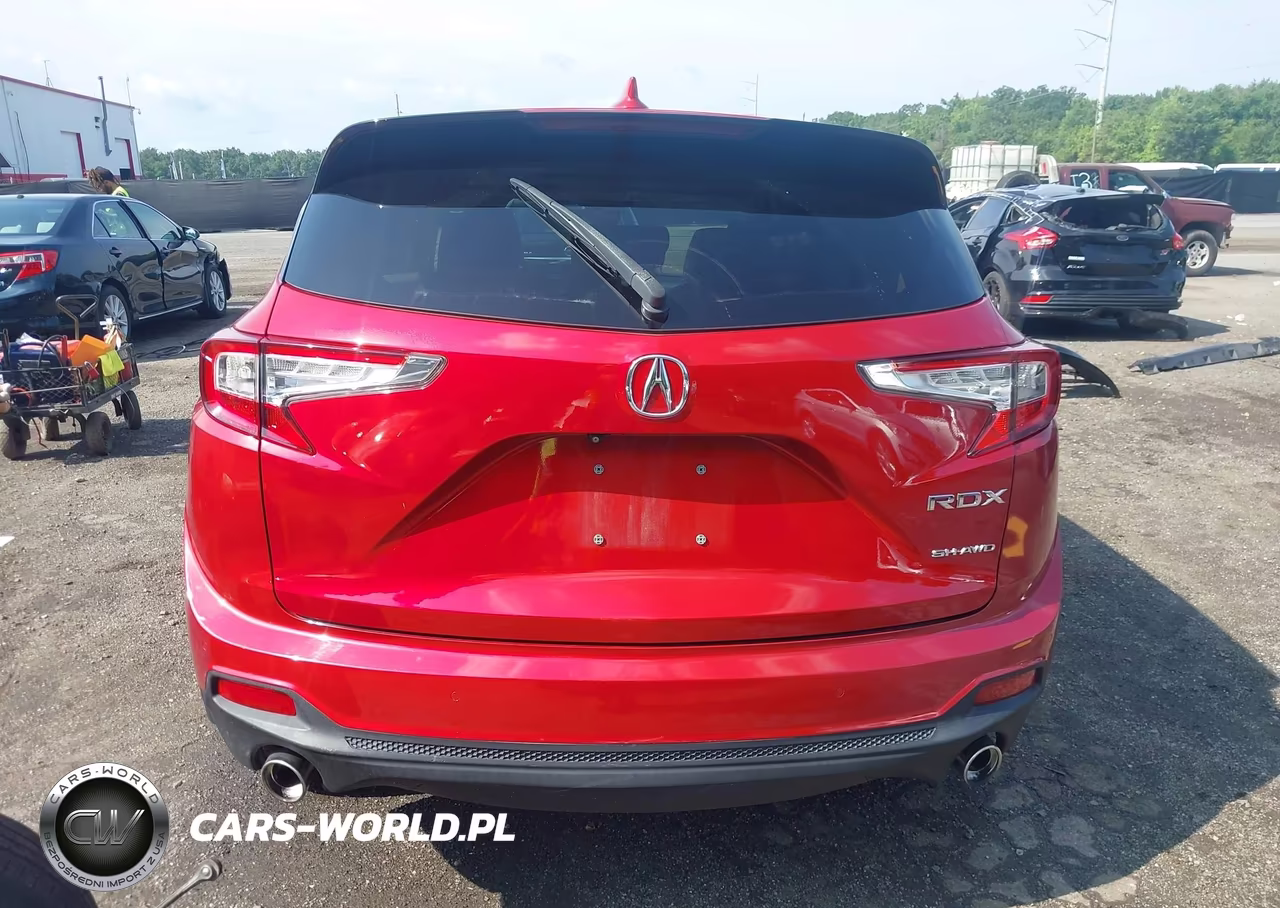 2019 Acura Rdx Advance Package VIN:5J8TC2H71KL022402 - 17