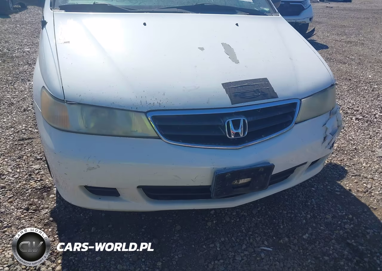 2004 Honda Odyssey Lx VIN:5FNRL18564B105413 - 6