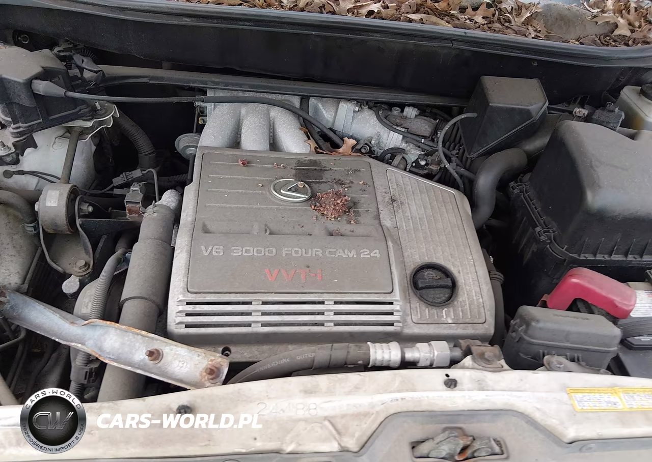 2000 Lexus Rx 300 VIN:JT6GF10U6Y0079554 - 10