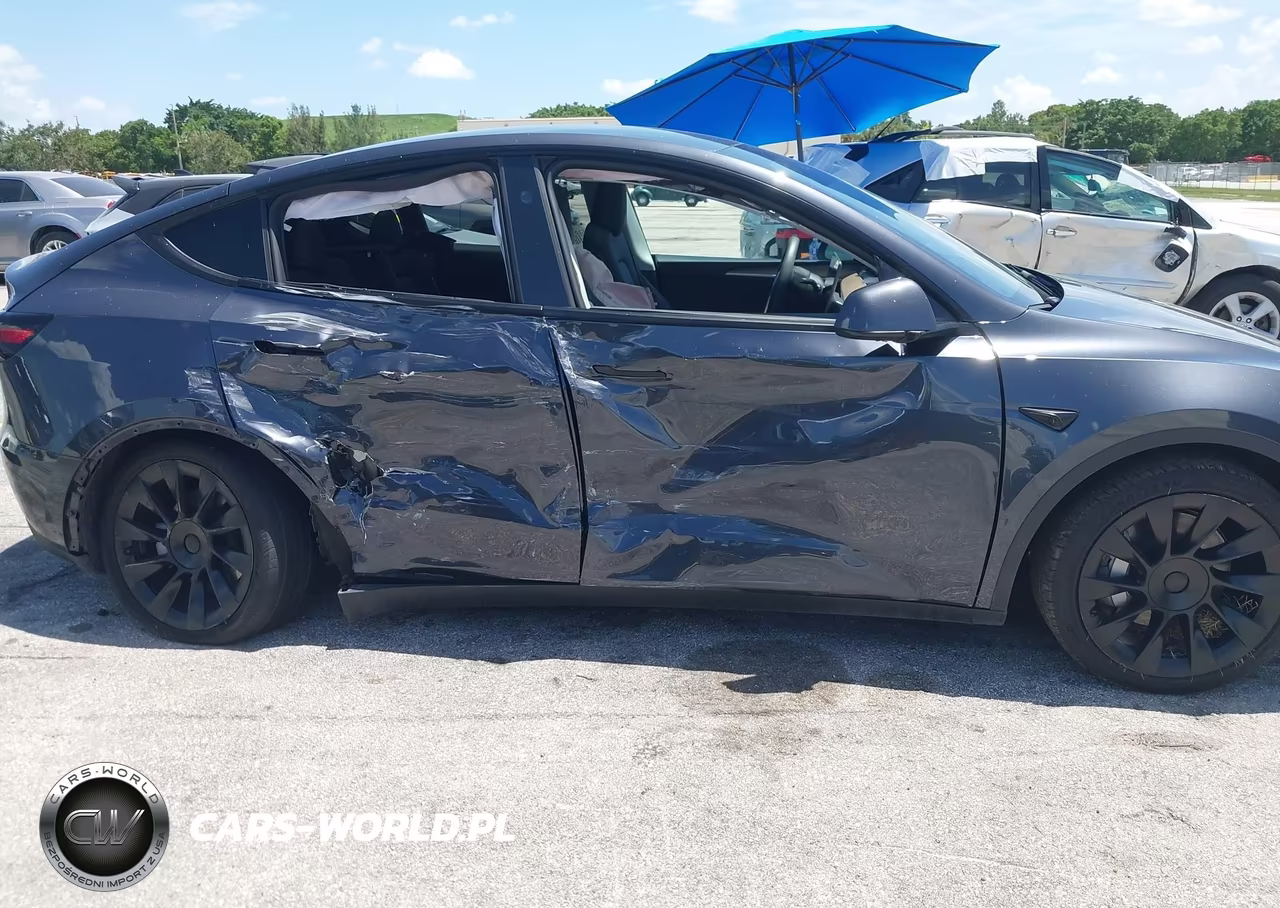 2024 Tesla Model Y Long Range Dual Motor All-Wheel Drive VIN:7SAYGDEE2RA255659 - 6