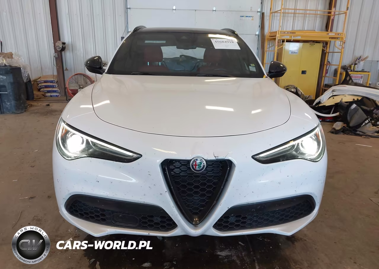 2020 Alfa Romeo Stelvio Sport Awd VIN:ZASPAKAN5L7C76534 - 12