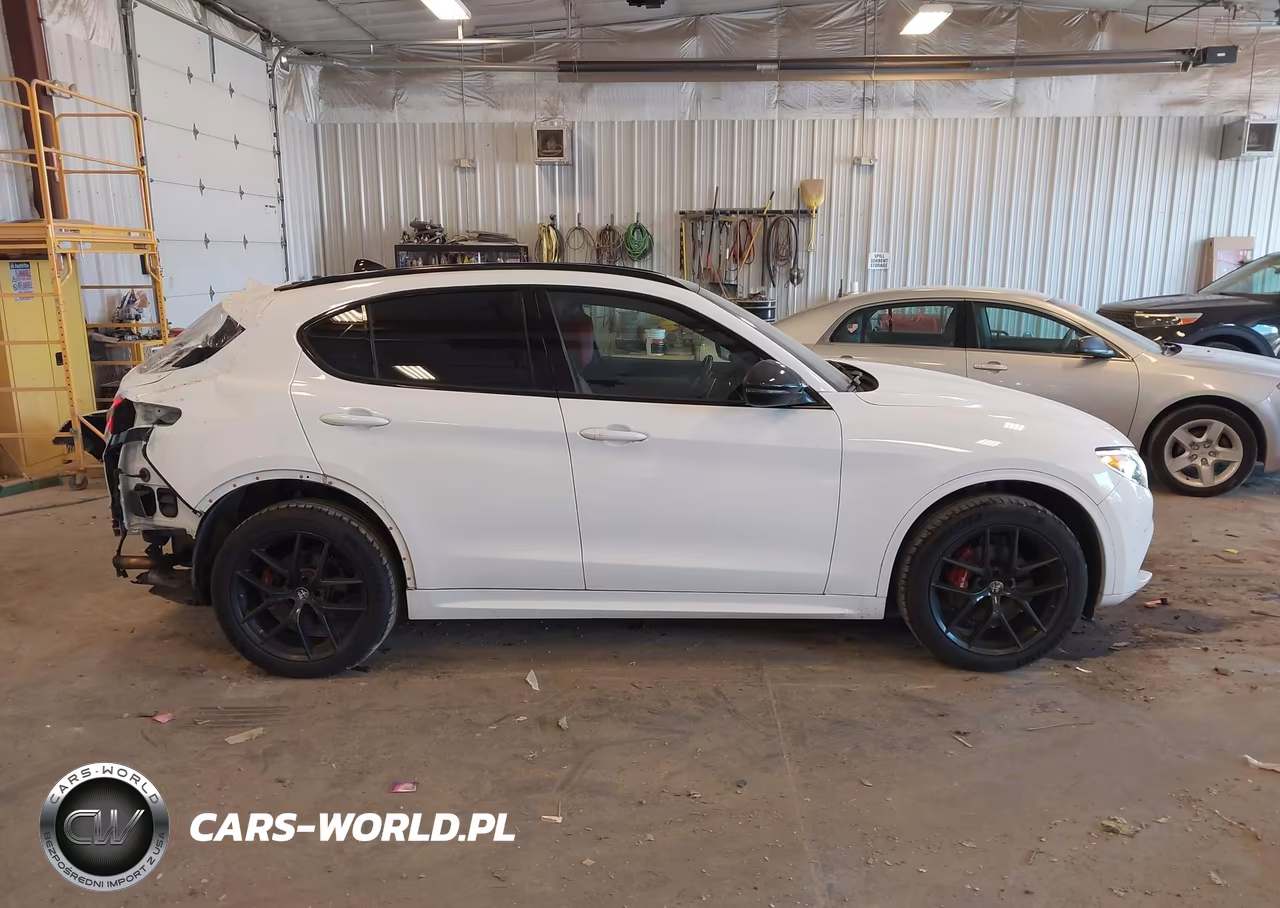 2020 Alfa Romeo Stelvio Sport Awd VIN:ZASPAKAN5L7C76534 - 13