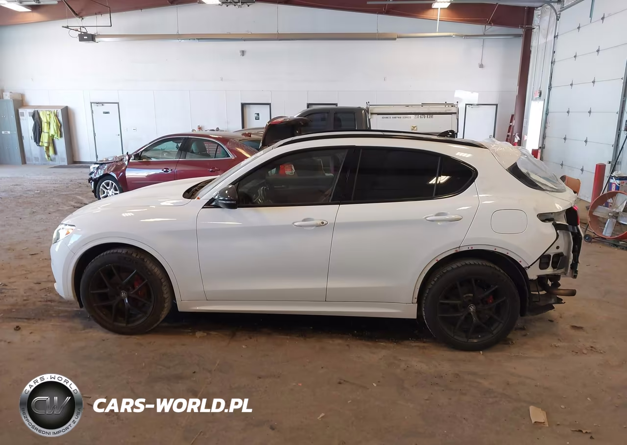 2020 Alfa Romeo Stelvio Sport Awd VIN:ZASPAKAN5L7C76534 - 14