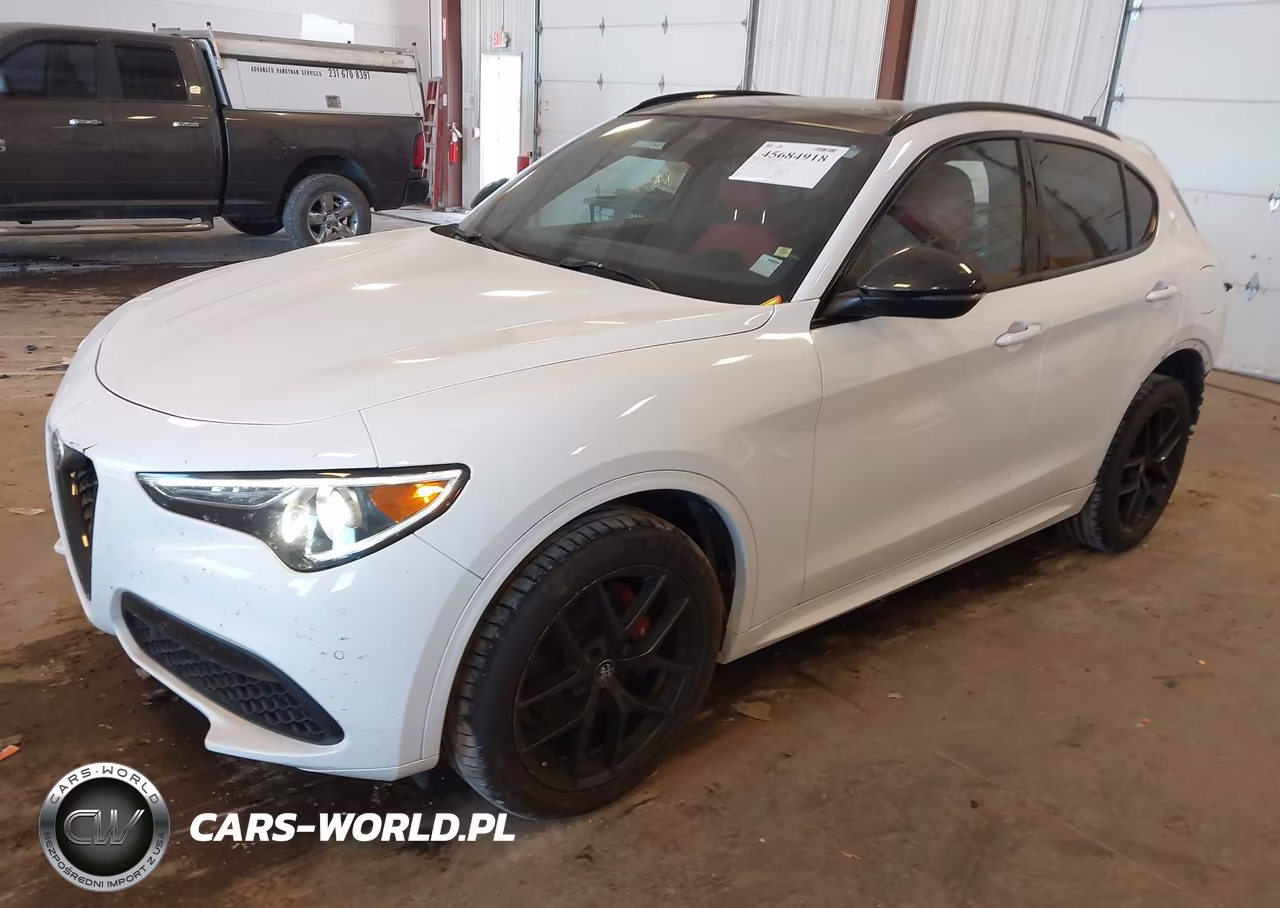 2020 Alfa Romeo Stelvio Sport Awd VIN:ZASPAKAN5L7C76534 - 2
