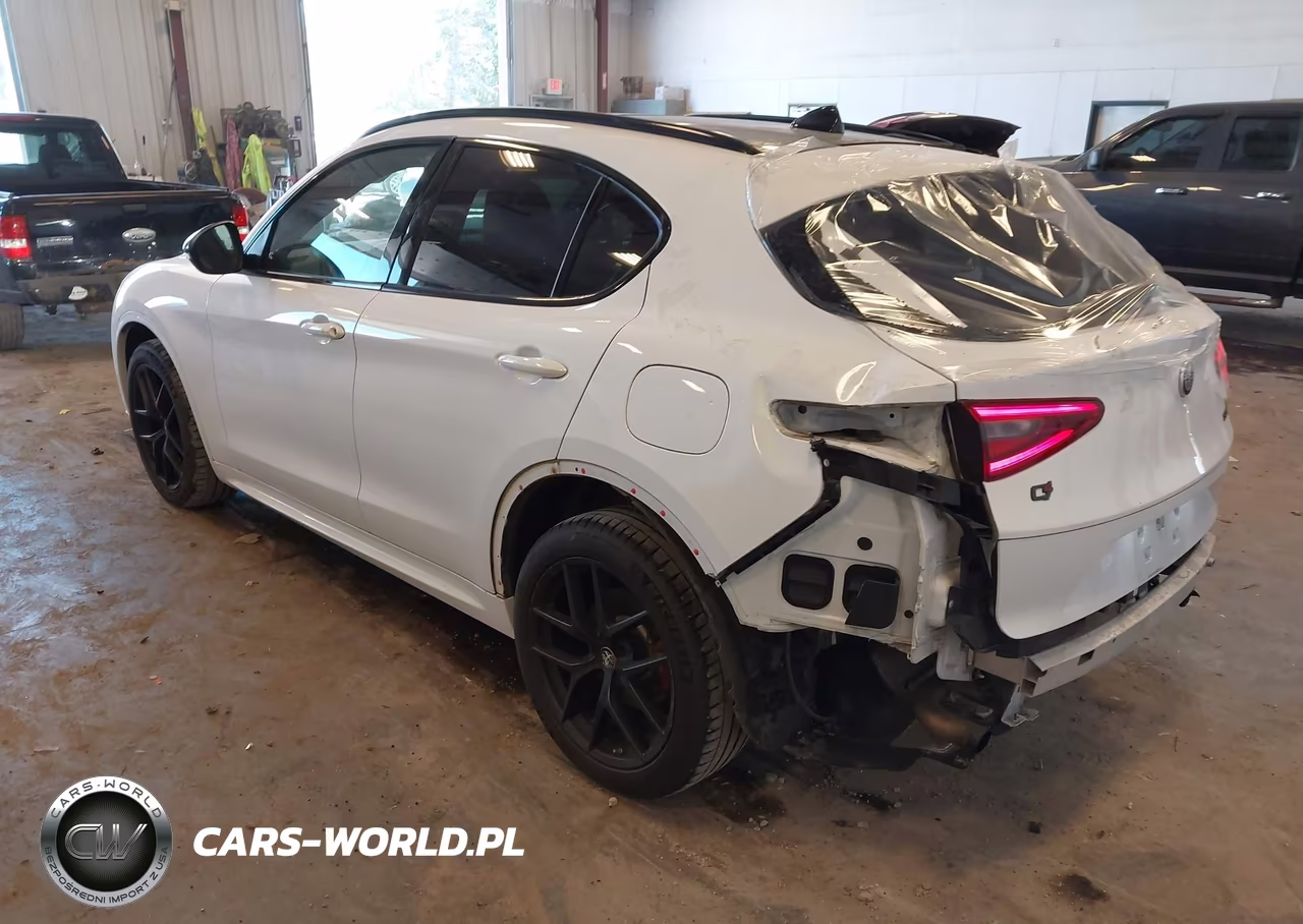 2020 Alfa Romeo Stelvio Sport Awd VIN:ZASPAKAN5L7C76534 - 3