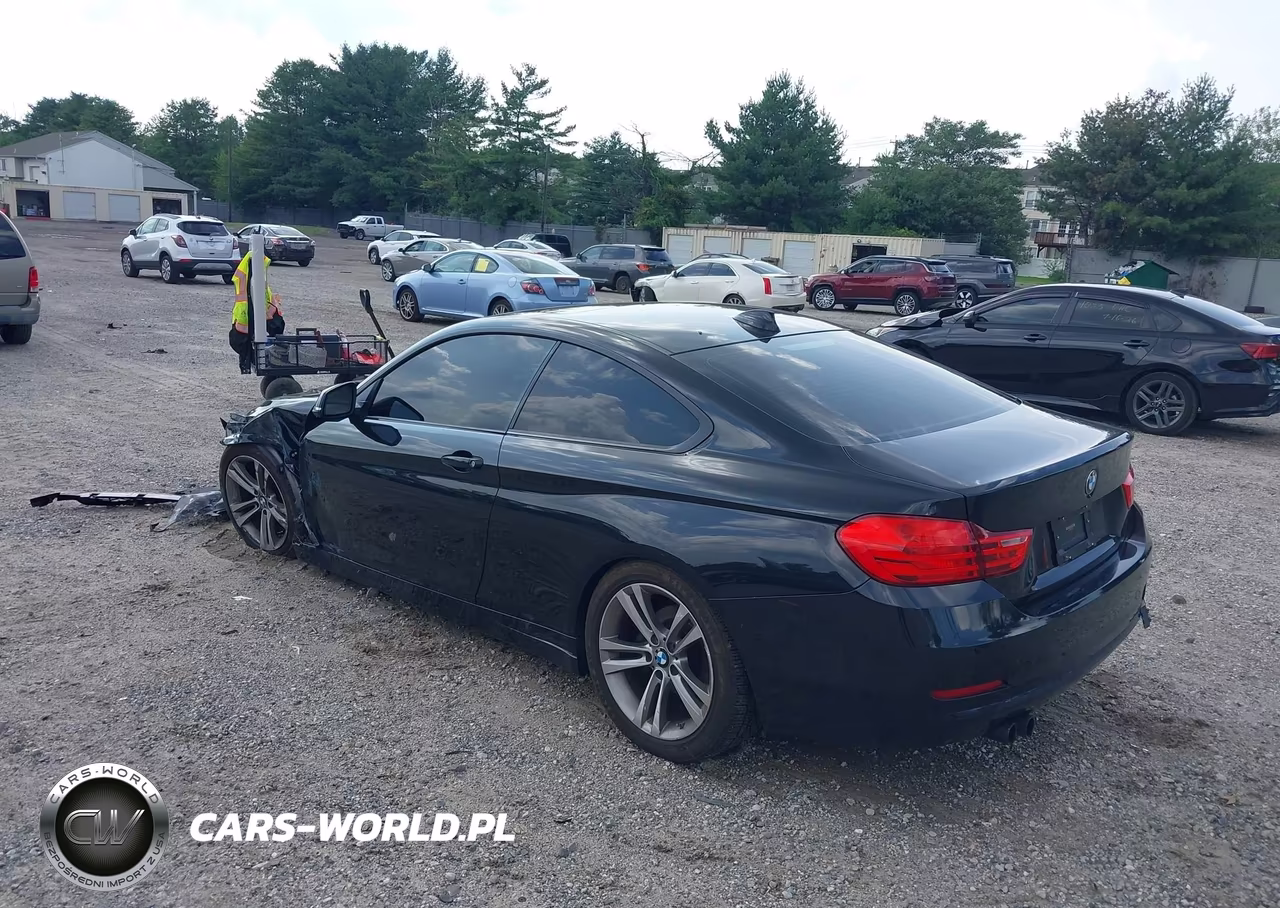 2014 BMW 428I VIN:WBA3N3C50EF712761 - 3
