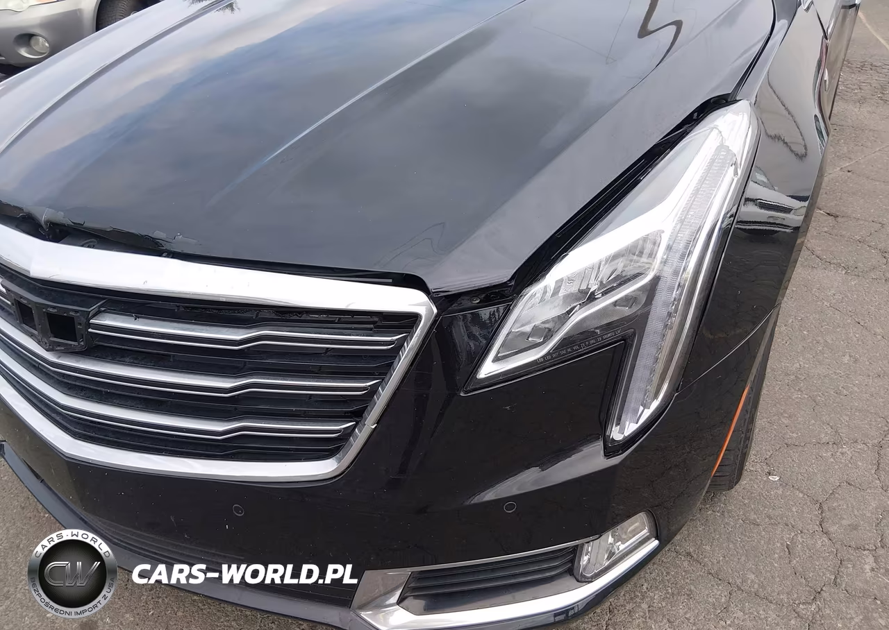 2019 Cadillac Xts Luxury VIN:2G61N5S3XK9123357 - 12