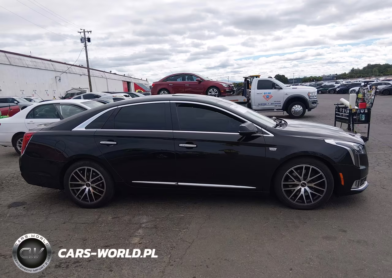 2019 Cadillac Xts Luxury VIN:2G61N5S3XK9123357 - 14
