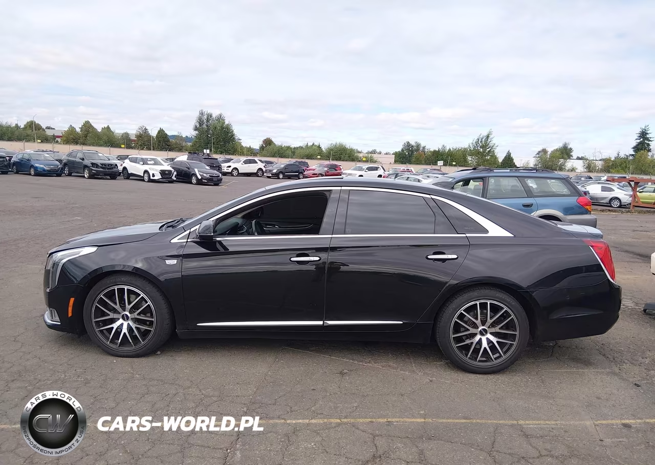 2019 Cadillac Xts Luxury VIN:2G61N5S3XK9123357 - 15