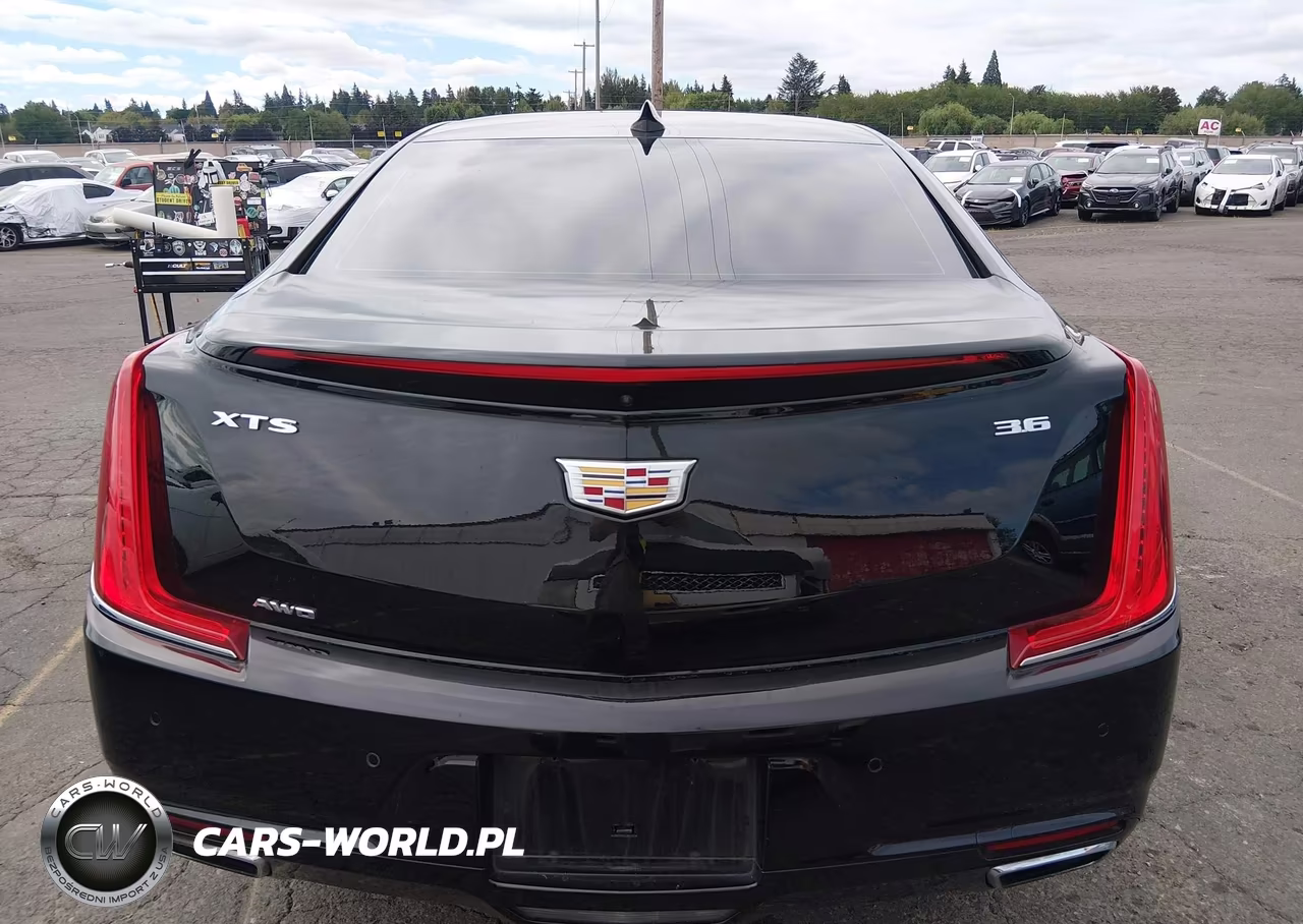 2019 Cadillac Xts Luxury VIN:2G61N5S3XK9123357 - 17