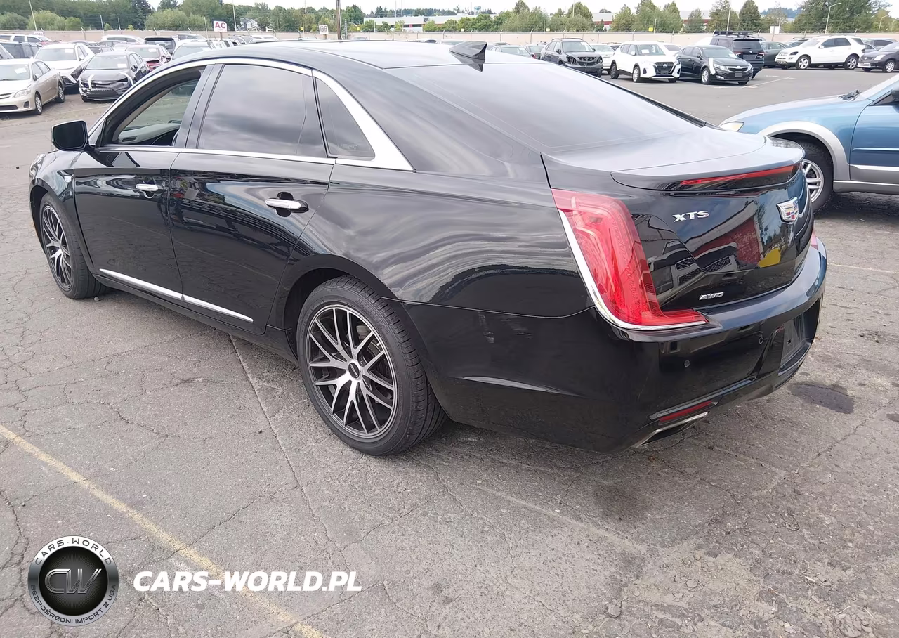 2019 Cadillac Xts Luxury VIN:2G61N5S3XK9123357 - 3