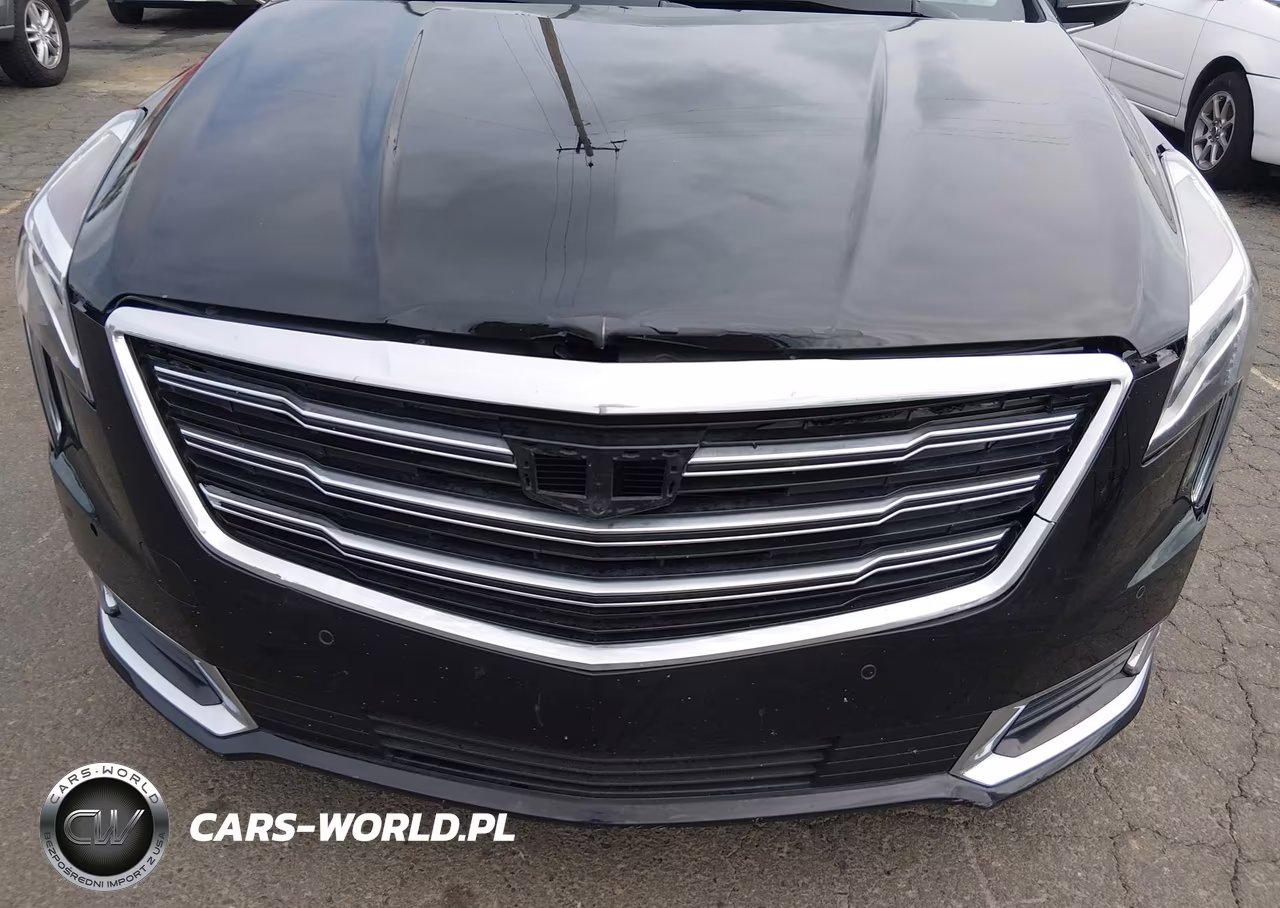 2019 Cadillac Xts Luxury VIN:2G61N5S3XK9123357 - 6