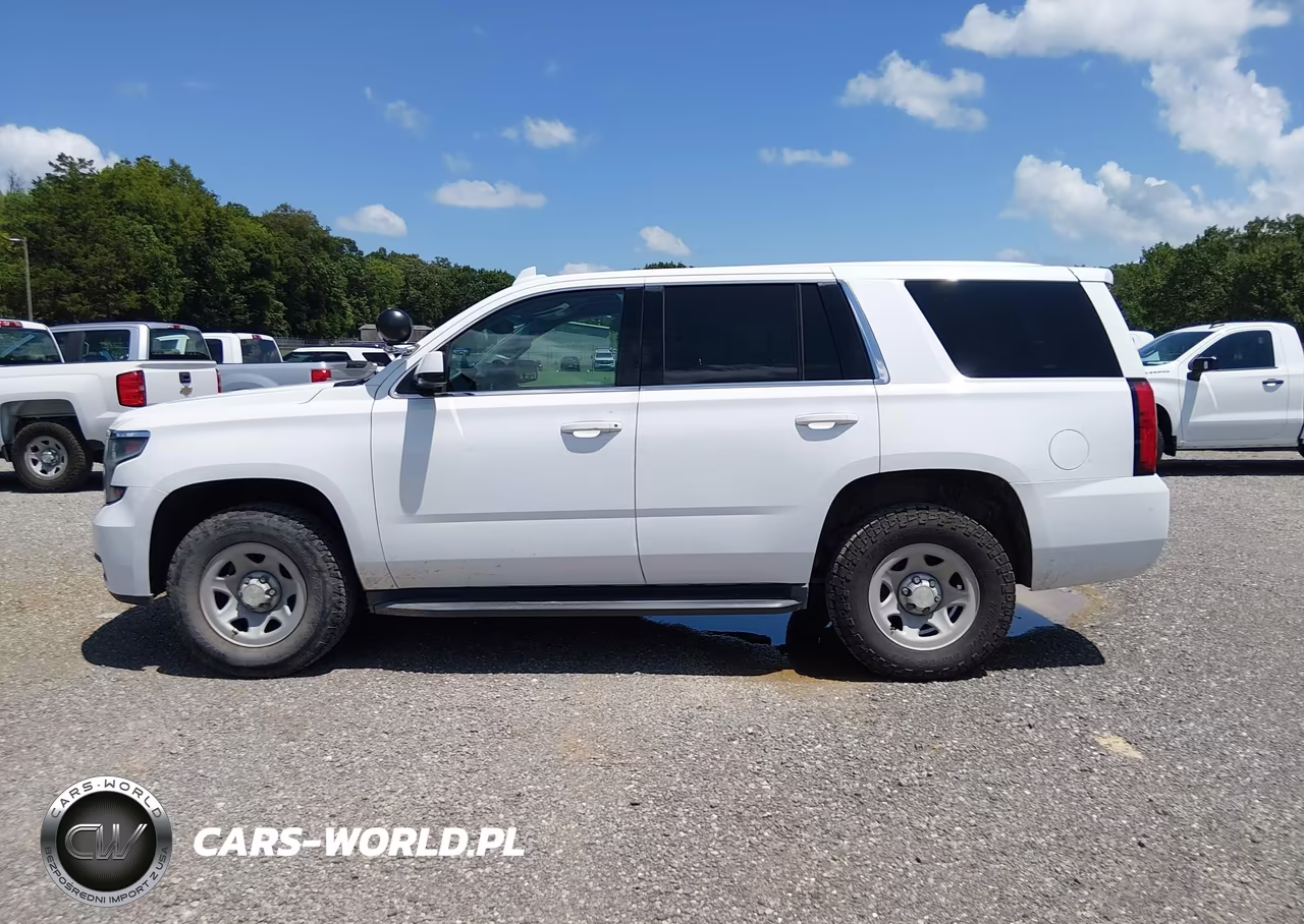 2017 Chevrolet Tahoe Commercial VIN:1GNSKFEC8HR315197 - 20