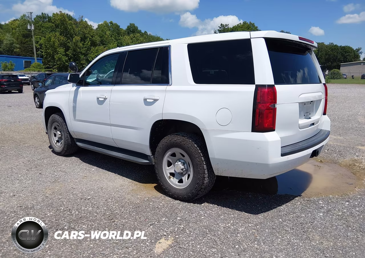 2017 Chevrolet Tahoe Commercial VIN:1GNSKFEC8HR315197 - 3
