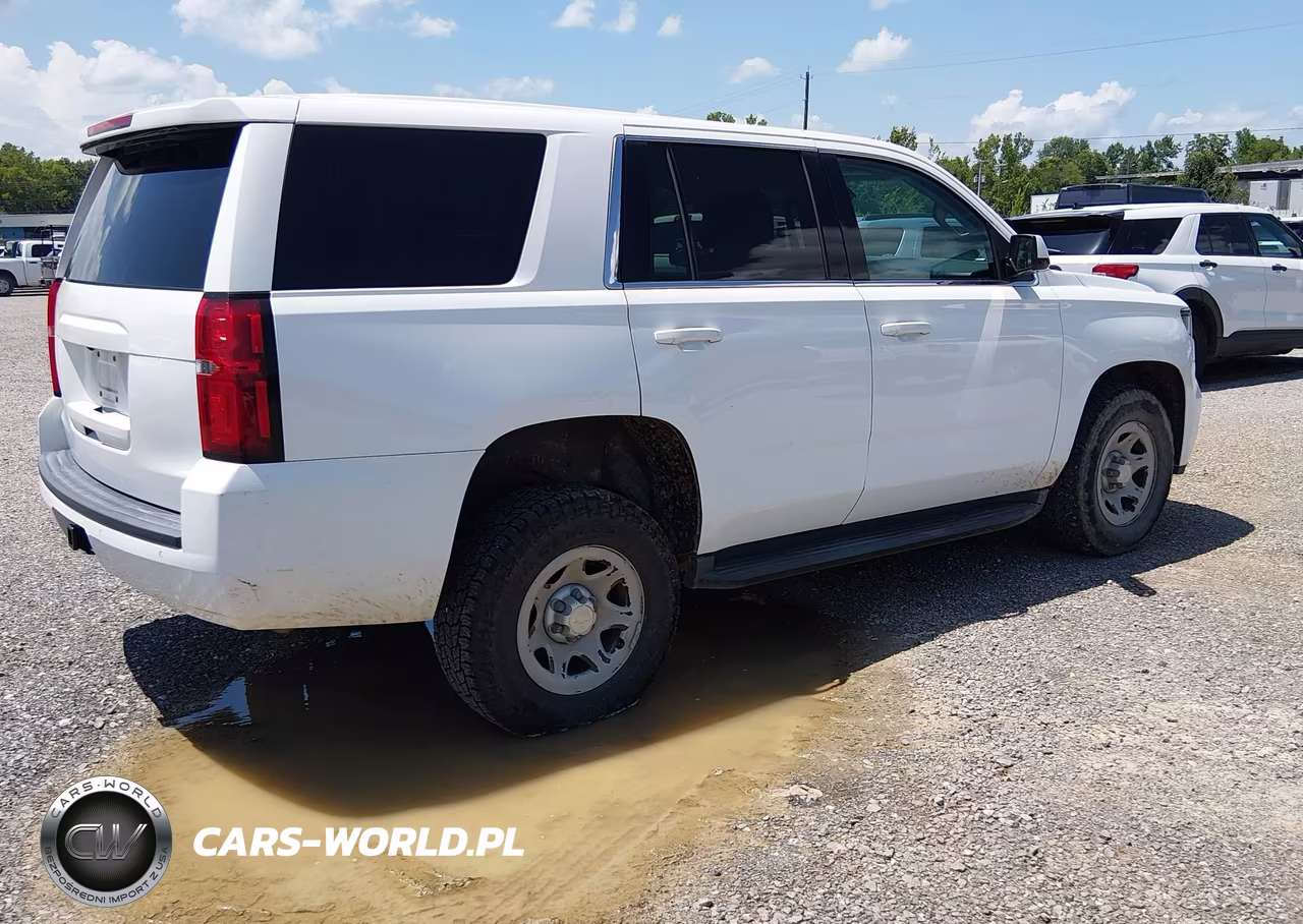 2017 Chevrolet Tahoe Commercial VIN:1GNSKFEC8HR315197 - 4