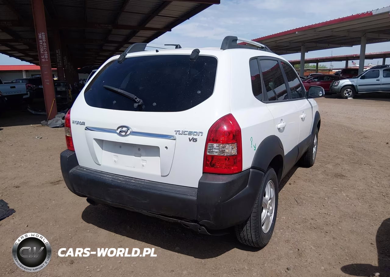 2005 Hyundai Tucson Gls-Lx VIN:KM8JN12D95U052542 - 4