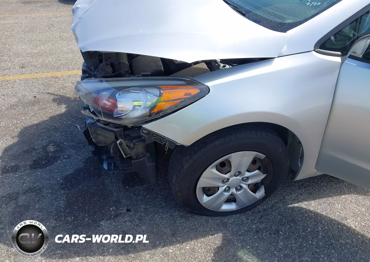 2014 Kia Forte Lx VIN:KNAFK4A60E5214380 - 14