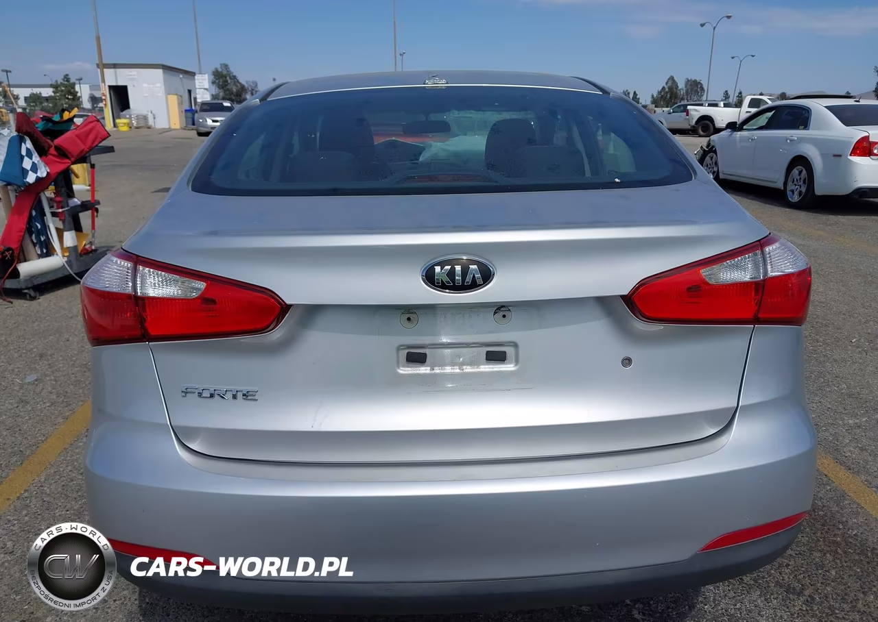2014 Kia Forte Lx VIN:KNAFK4A60E5214380 - 19