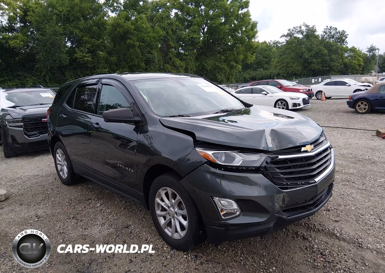 2019 Chevrolet Equinox Ls – zdjęcie 1 z 17