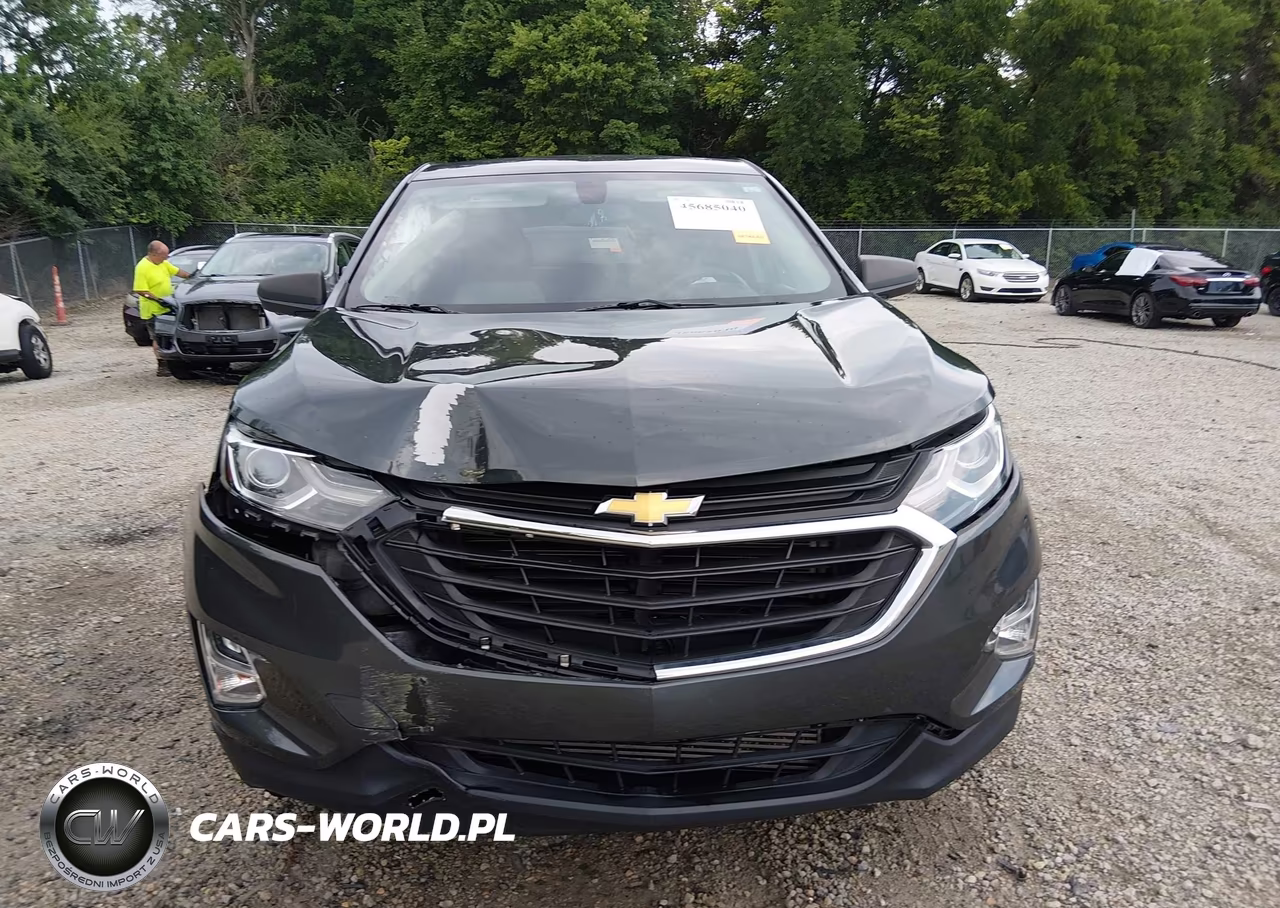 2019 Chevrolet Equinox Ls VIN:3GNAXSEV3KS629058 - 12