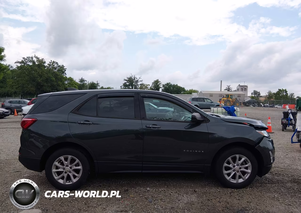 2019 Chevrolet Equinox Ls VIN:3GNAXSEV3KS629058 - 13