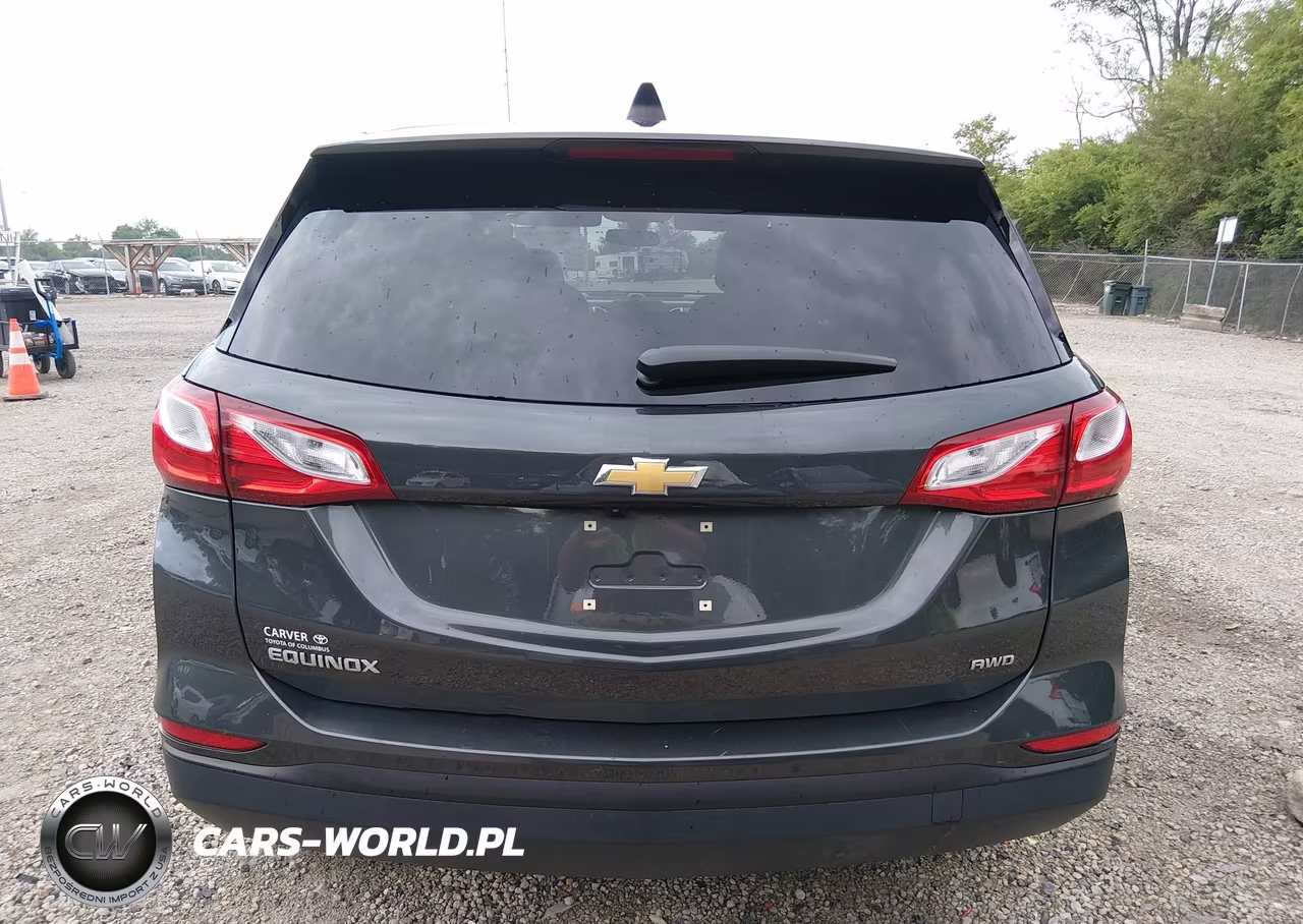 2019 Chevrolet Equinox Ls VIN:3GNAXSEV3KS629058 - 16