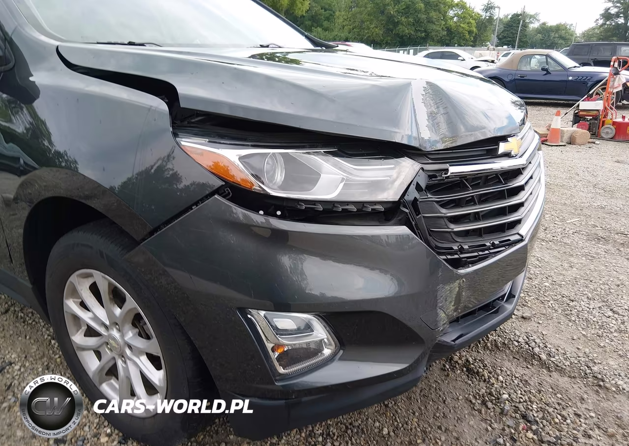 2019 Chevrolet Equinox Ls VIN:3GNAXSEV3KS629058 - 17