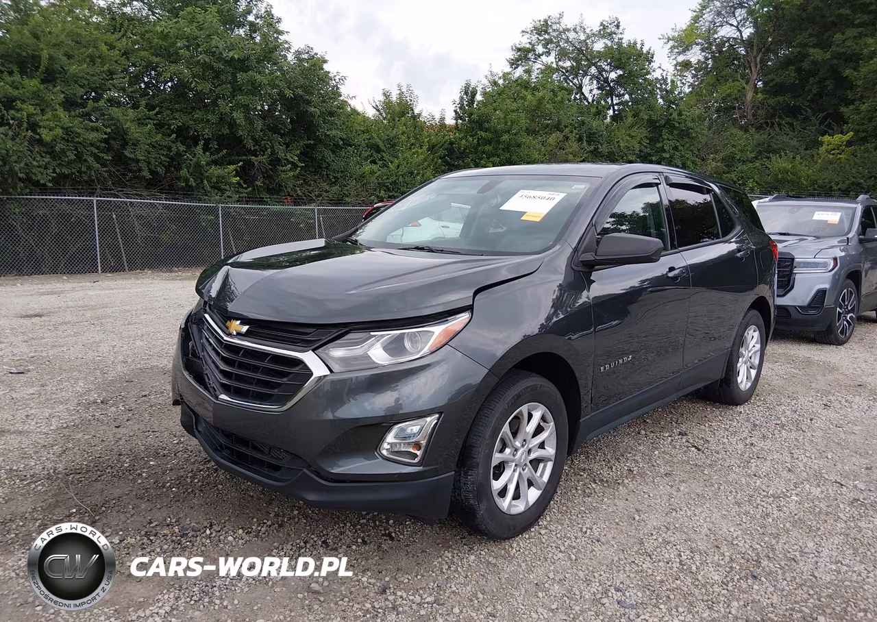 2019 Chevrolet Equinox Ls VIN:3GNAXSEV3KS629058 - 2