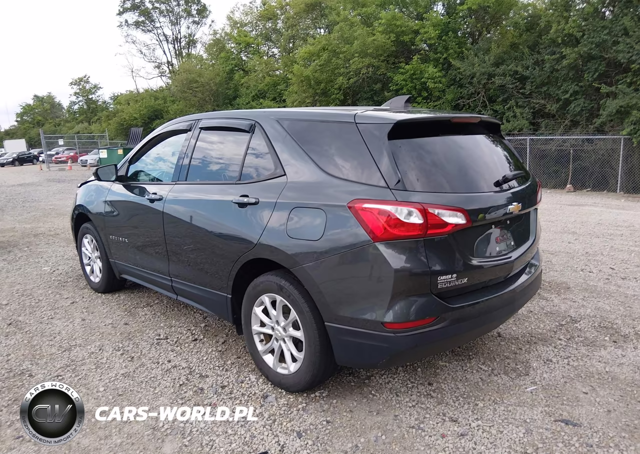 2019 Chevrolet Equinox Ls VIN:3GNAXSEV3KS629058 - 3