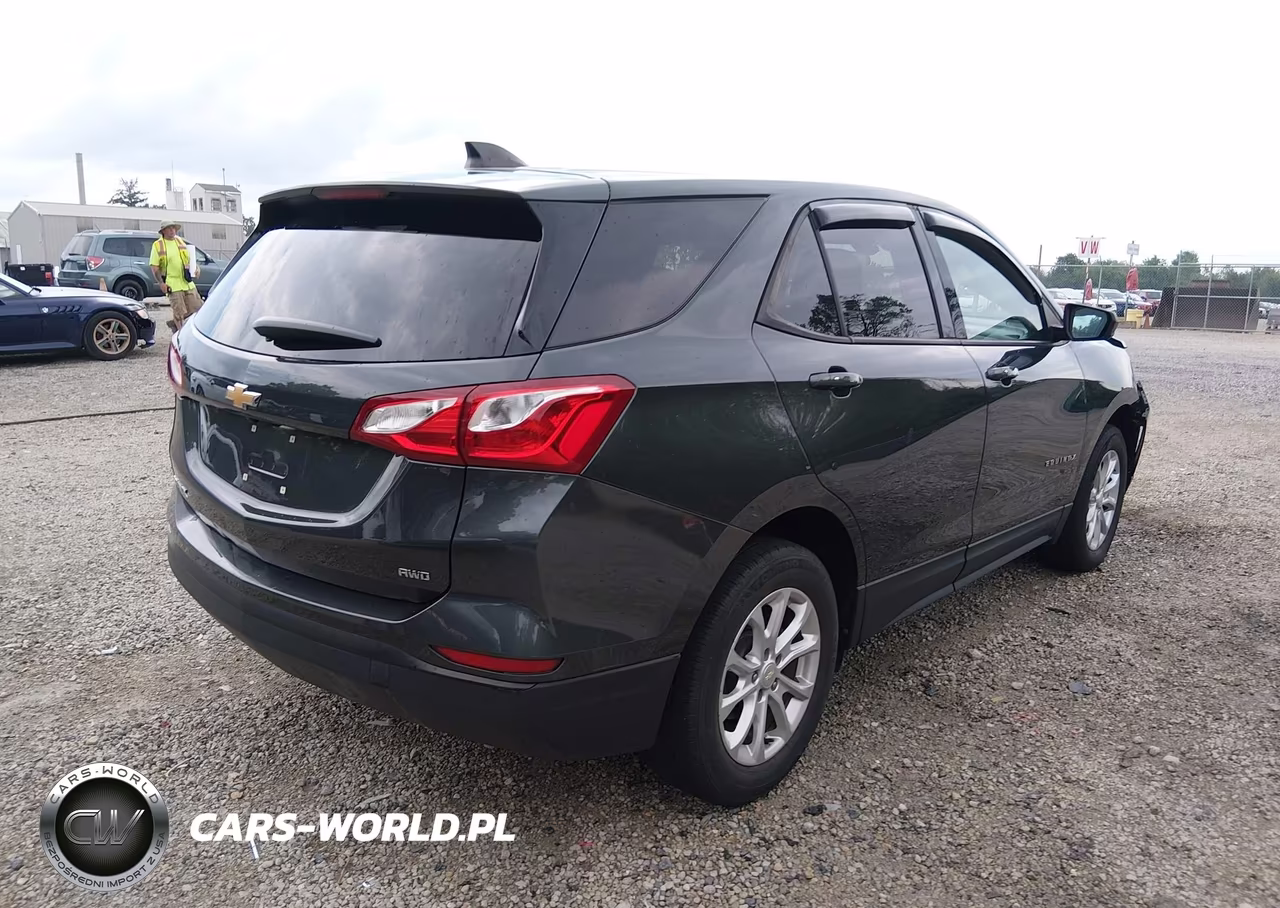 2019 Chevrolet Equinox Ls VIN:3GNAXSEV3KS629058 - 4