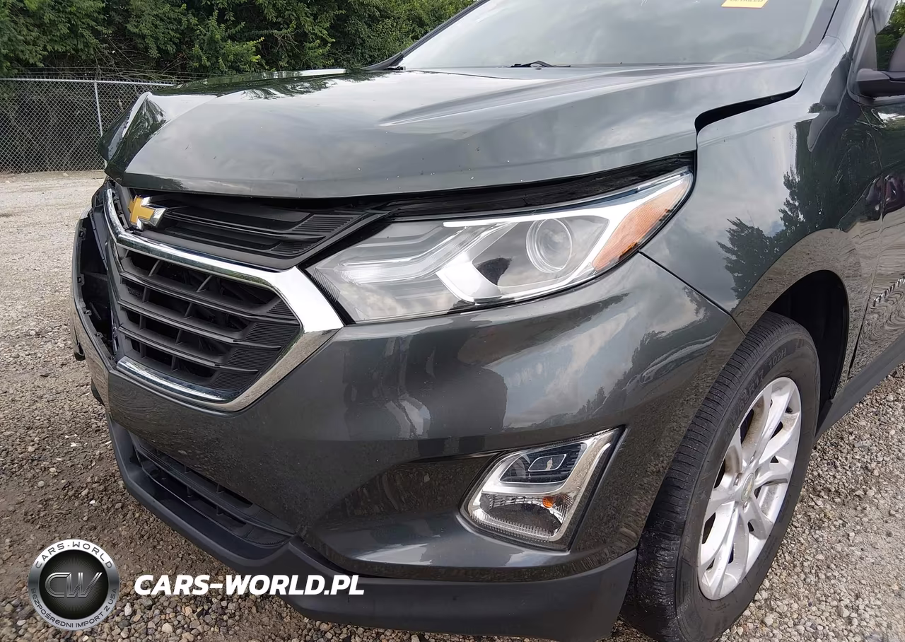 2019 Chevrolet Equinox Ls VIN:3GNAXSEV3KS629058 - 6