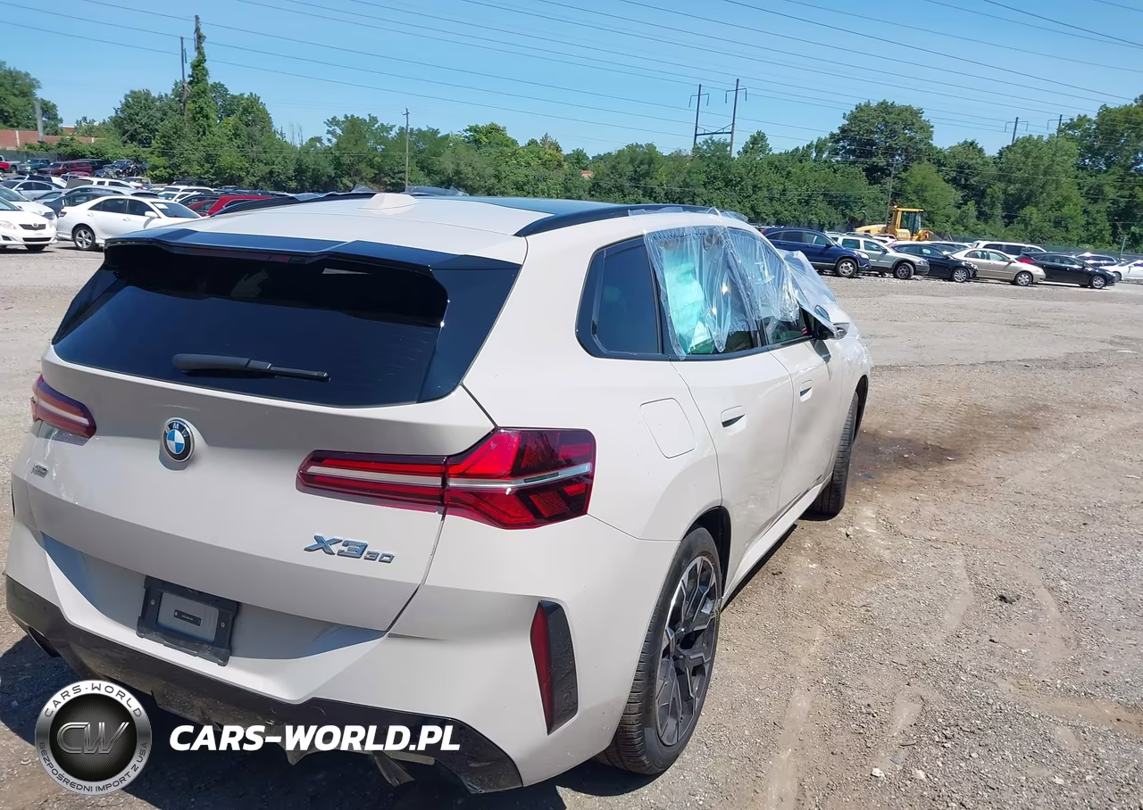2025 BMW X3 30 xDrive VIN:5UX53GP06S9073561 - 4