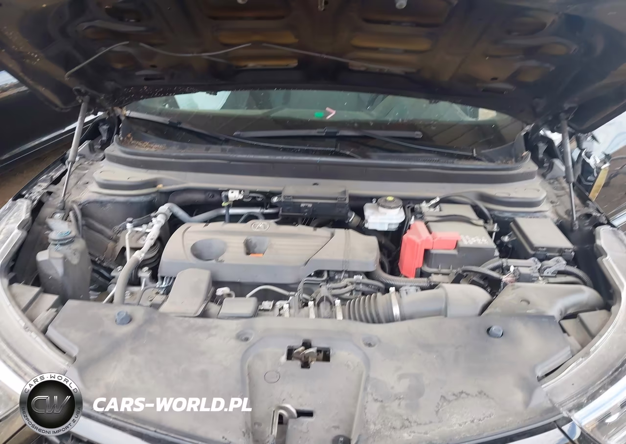 2023 Acura Rdx A-Spec Advance Package VIN:5J8TC2H83PL009733 - 10