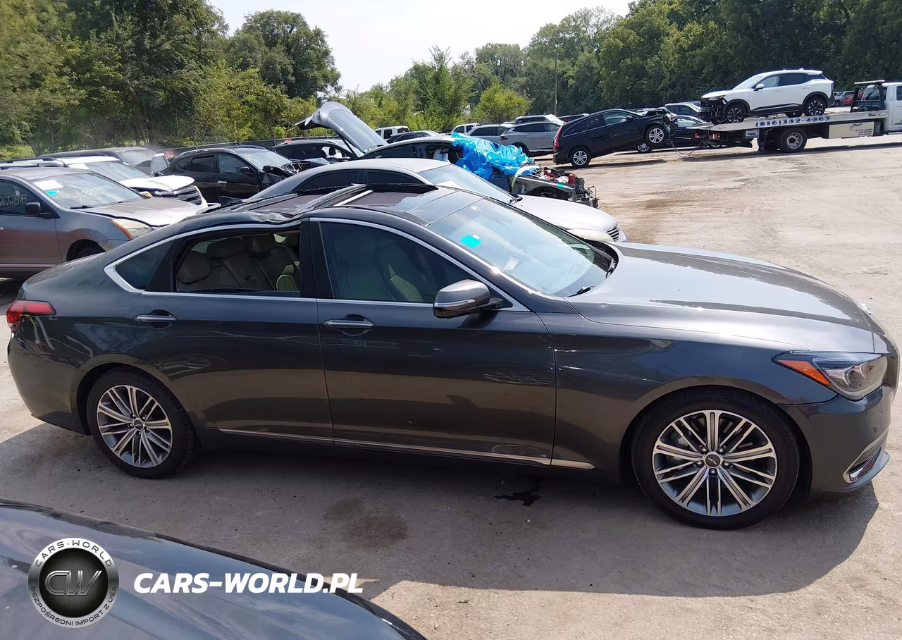 2018 Genesis G80 3.8 VIN:KMHGN4JE4JU228249 - 13
