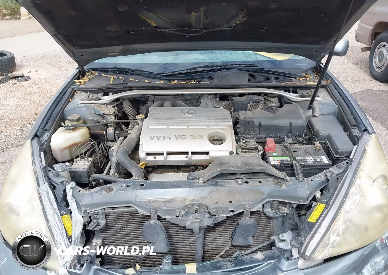 2006 Lexus Es 330 VIN:JTHBA30GX65146596 - 10