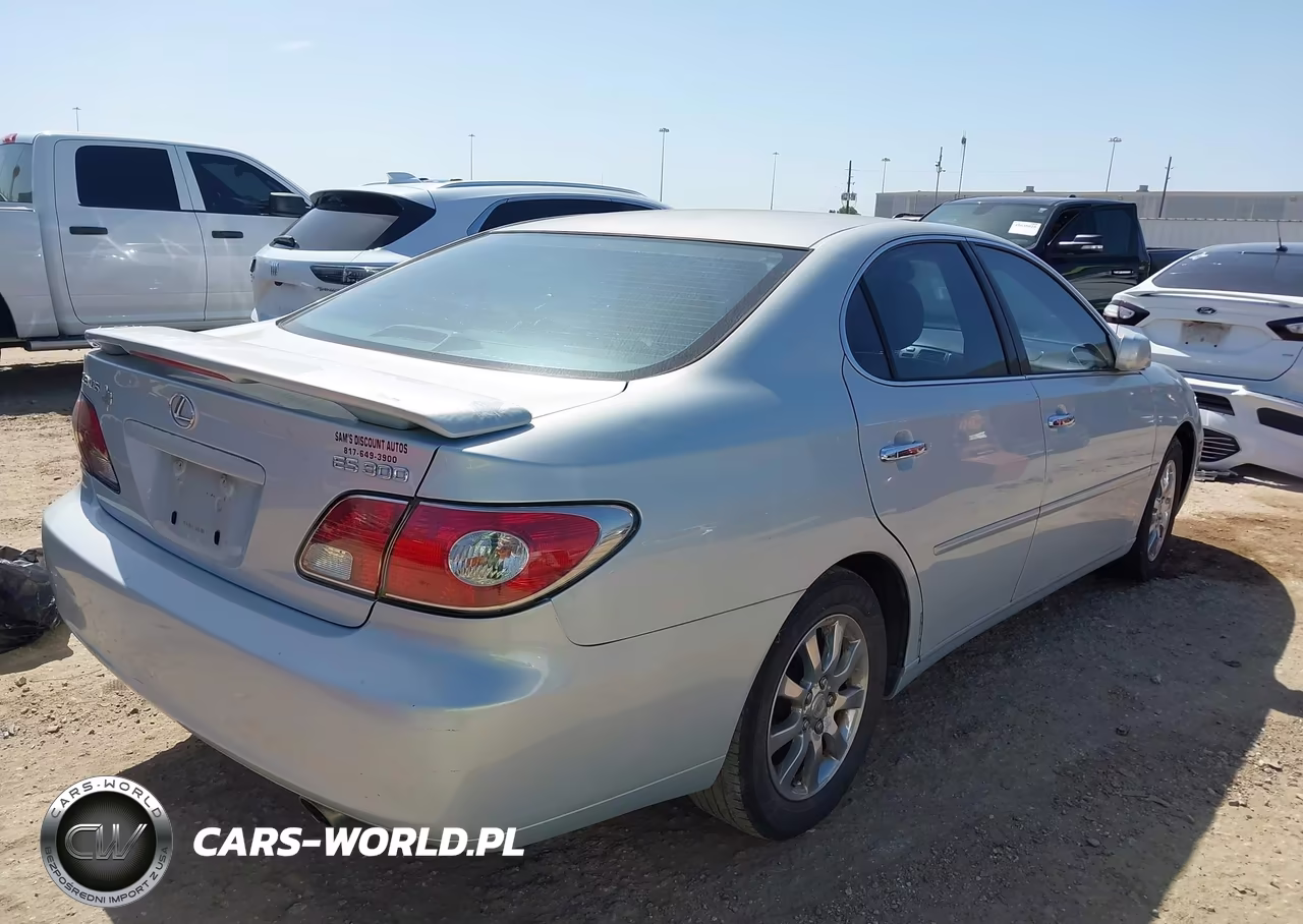 2003 Lexus Es 300 VIN:JTHBF30G336008292 - 4