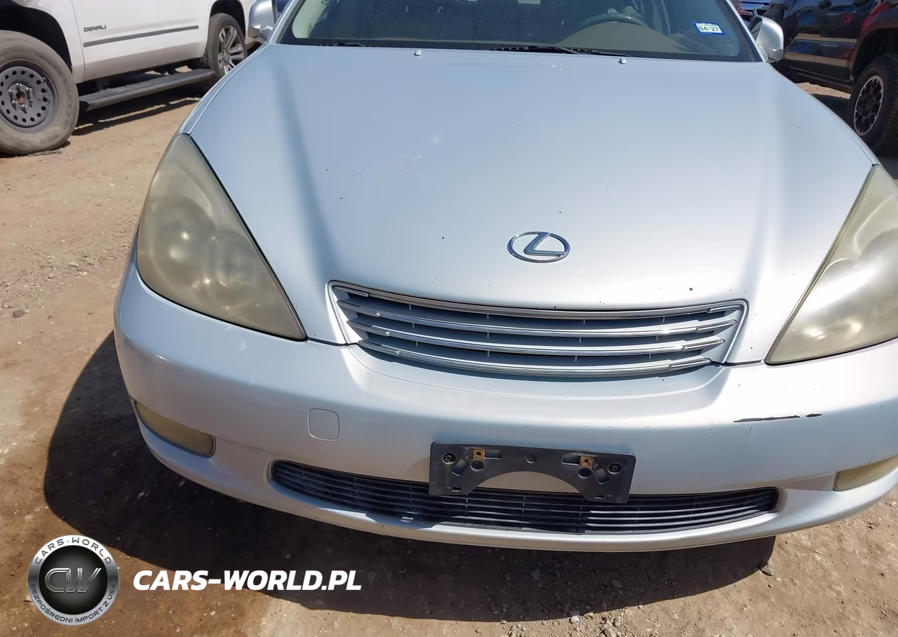 2003 Lexus Es 300 VIN:JTHBF30G336008292 - 6