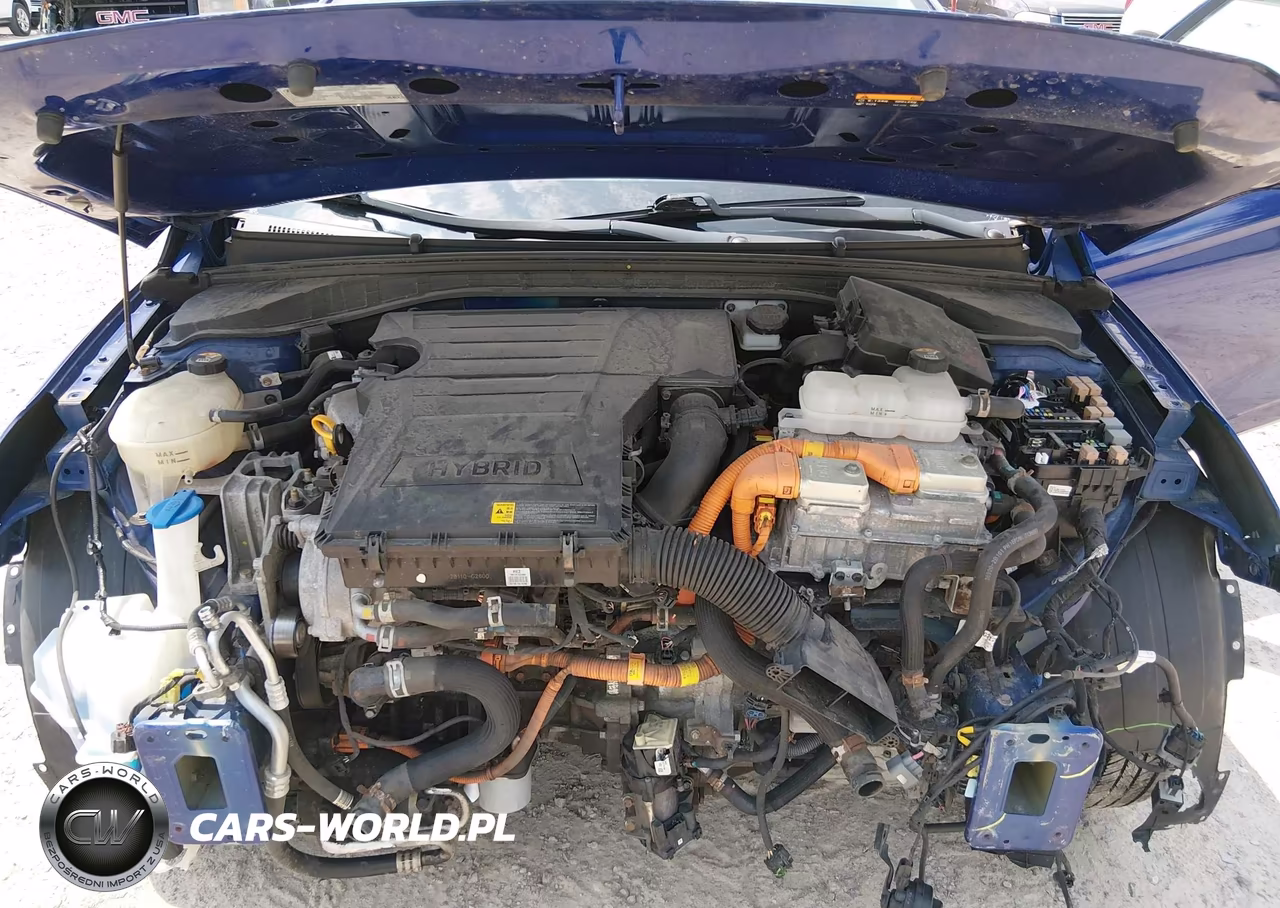2019 Hyundai Ioniq Hybrid Blue VIN:KMHC65LC9KU173523 - 10